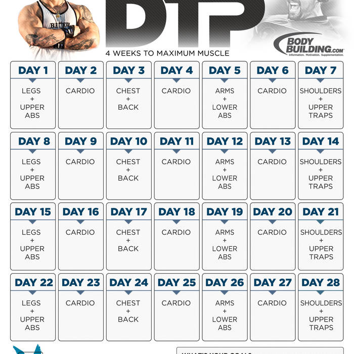 12 week bodybuilding program